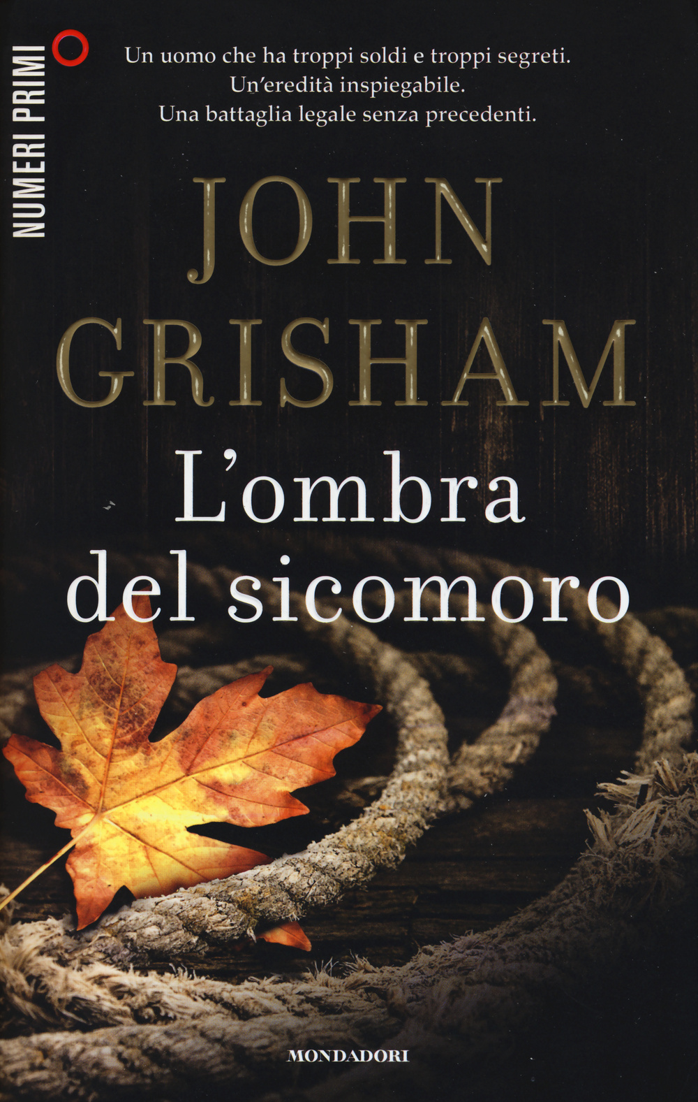 L'ombra del sicomoro