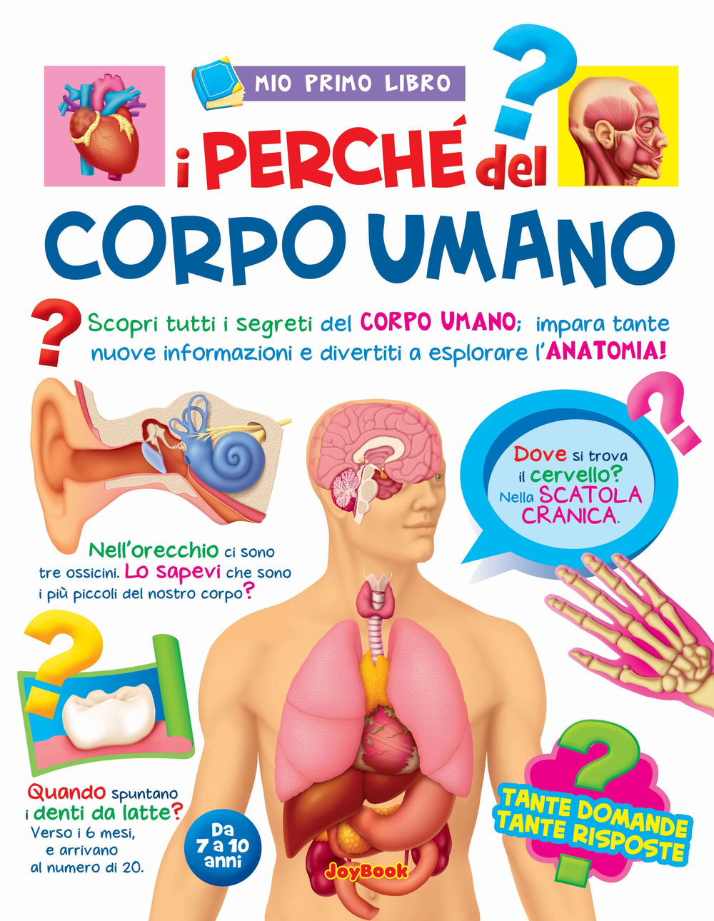 I perché del corpo umano