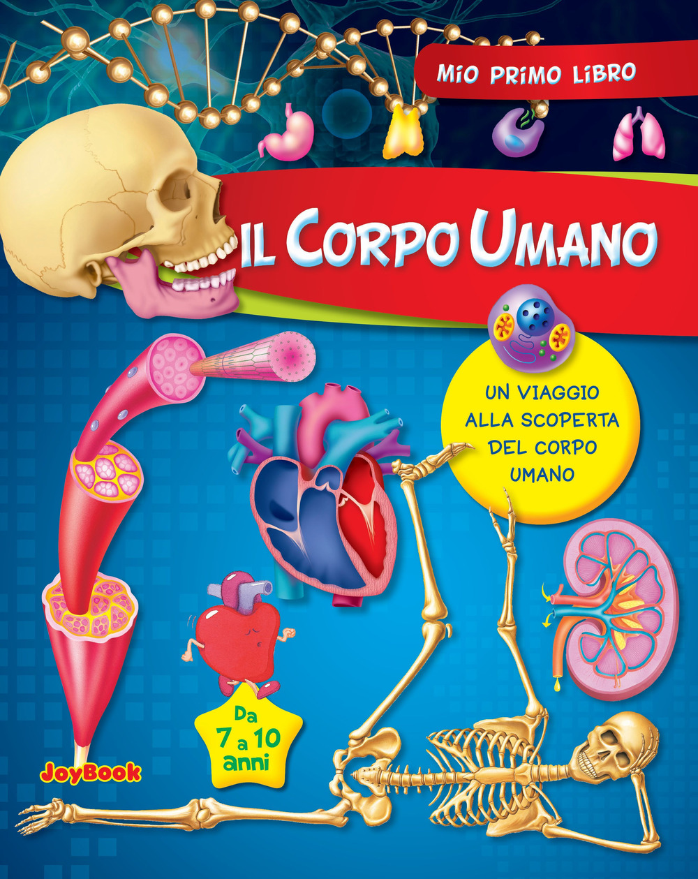 Il corpo umano
