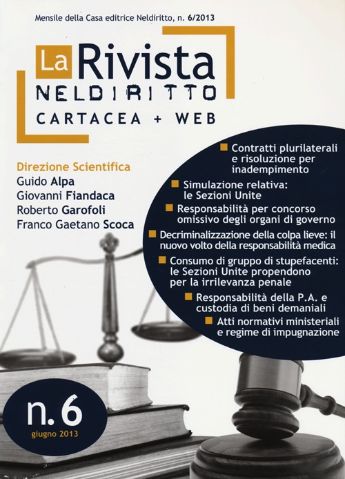 La rivista di Neldiritto. Vol. 6