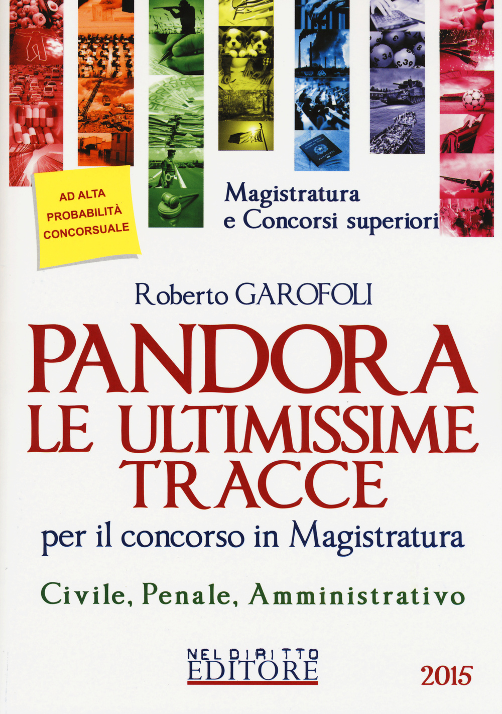 Pandora. Le ultimissime tracce per il concorso in magistratura. Civile, penale, amministrativo