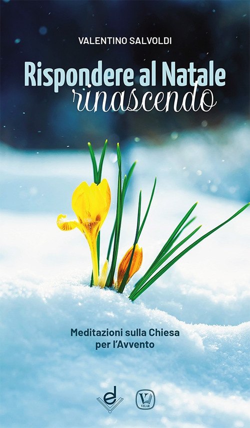 Rispondere al Natale rinascendo. Meditazioni sulla Chiesa per l’Avvento
