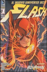 Flash. Vol. 1