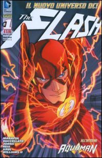 Flash. Vol. 1