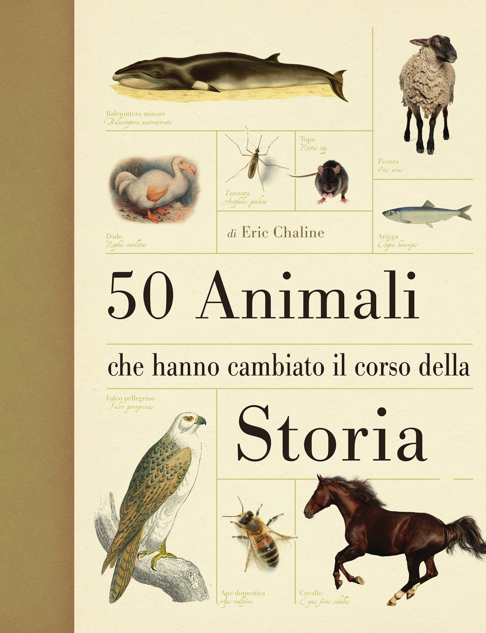 50 animali che hanno cambiato la storia