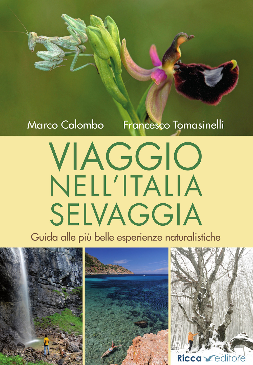 Viaggio nell'Italia selvaggia. Guida alle più belle esperienze naturalistiche
