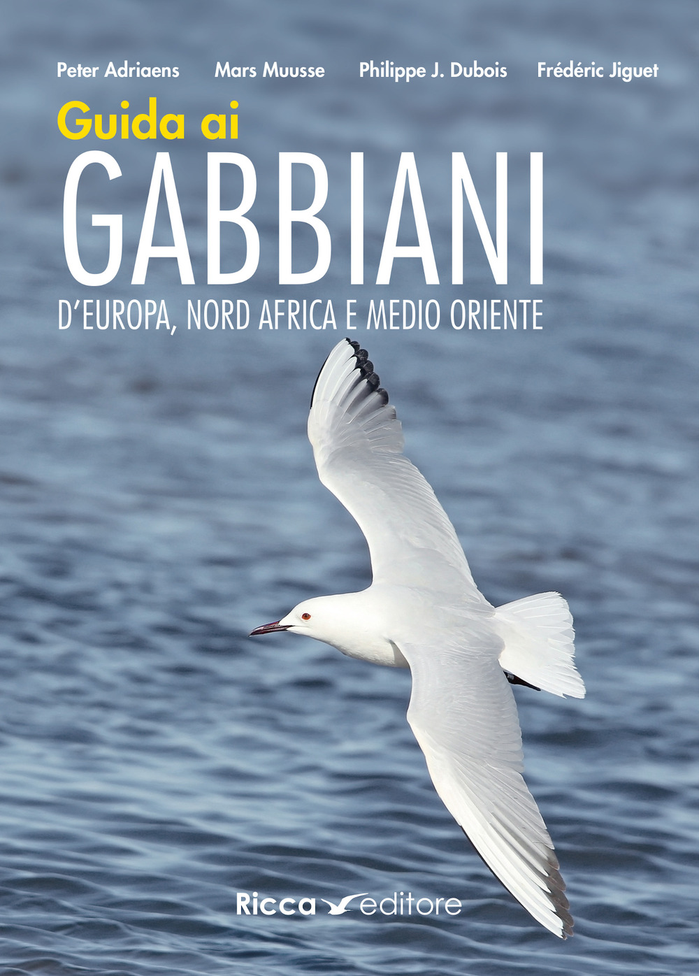 Guida ai gabbiani d'Europa, Nord Africa e Medio Oriente