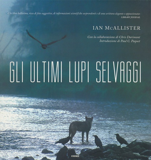 Gli ultimi lupi selvaggi