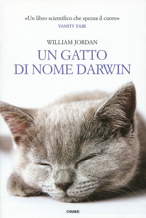 Un gatto di nome Darwin