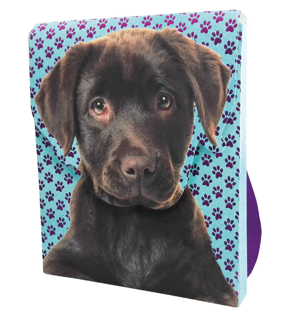 Il mio zainetto dei cuccioli. Con adesivi