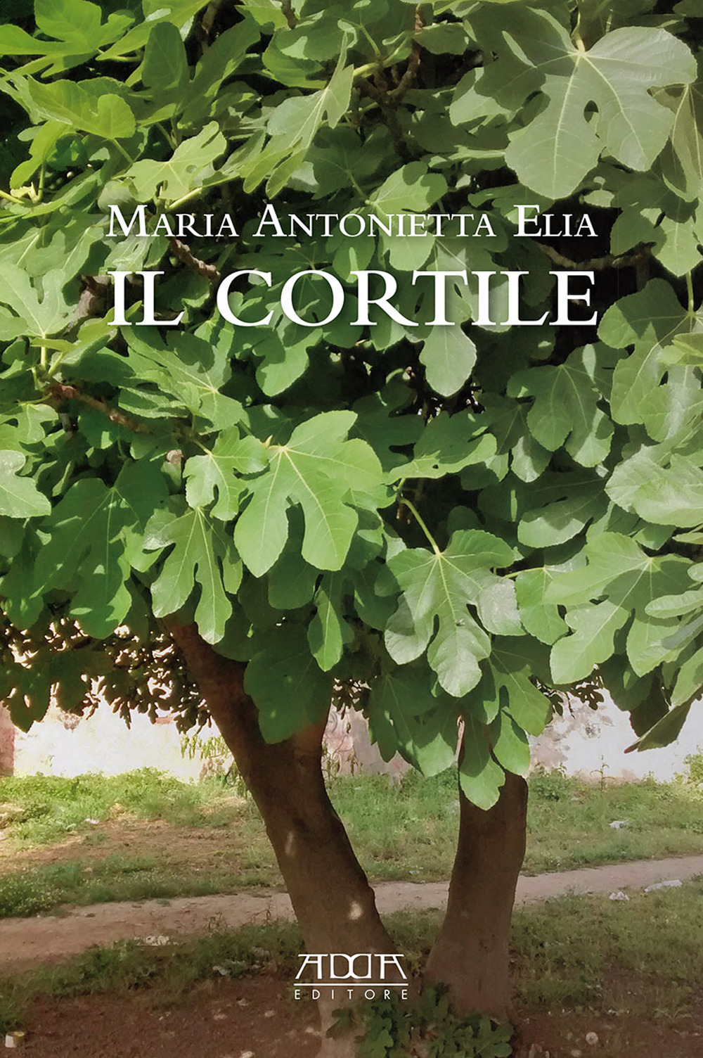 Il cortile