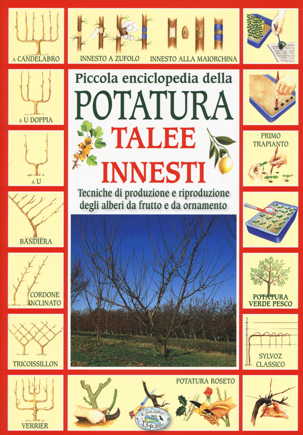 Piccola enciclopedia della potatura, innesti, talee. Tecniche di riproduzione degli alberi da frutto e da ornamento