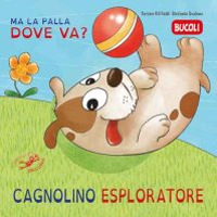 Cagnolino esploratore, ma la palla dove va?