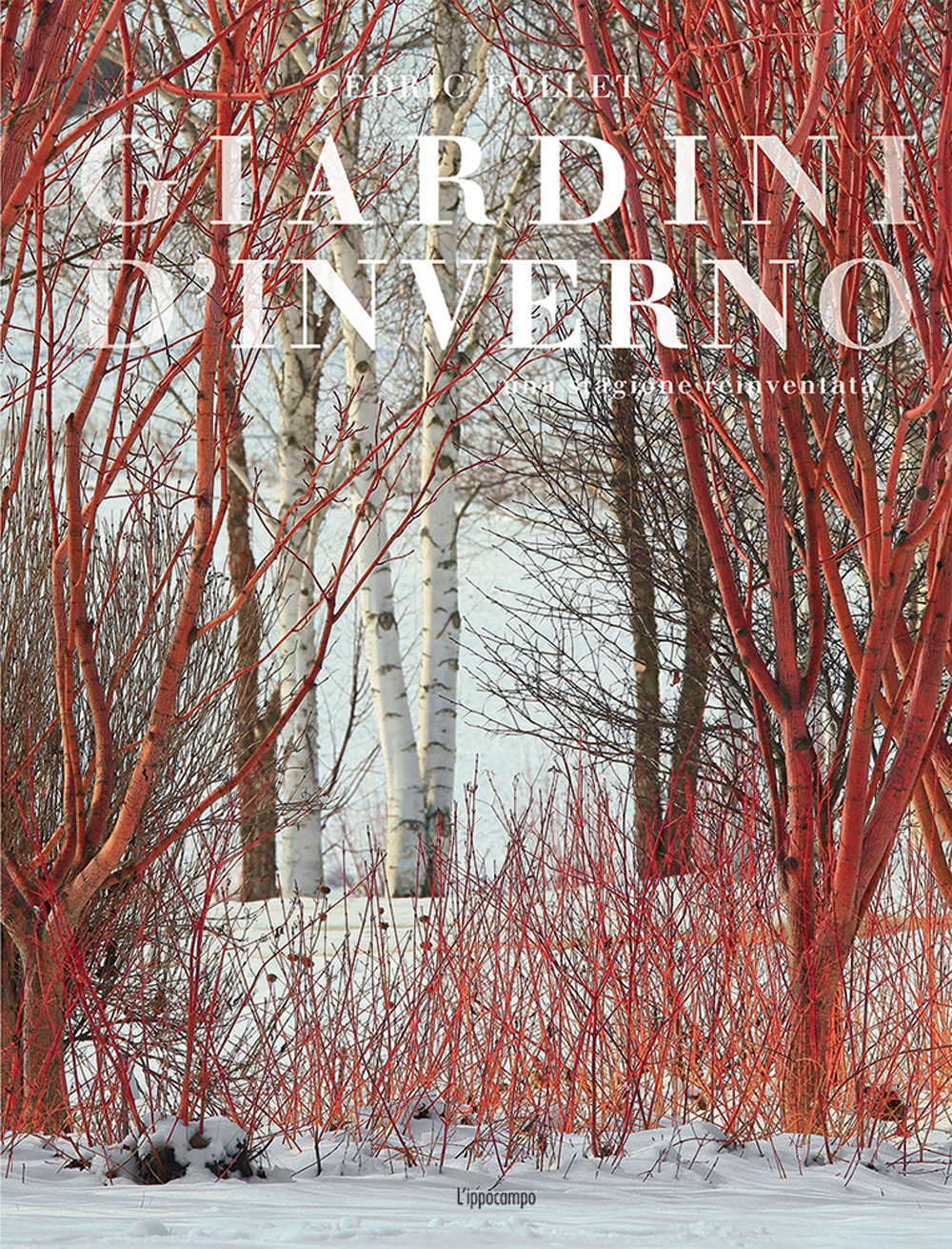Giardini d'inverno. Una stagione reinventata