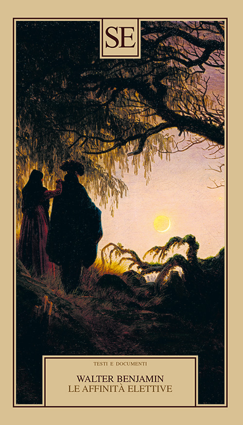 Le affinità elettive