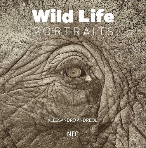 Wild life portraits