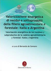 Valorizzazione energetica di residui e sottoprodotti della filiera agroalimentare e forestale: Italia e Argentina
