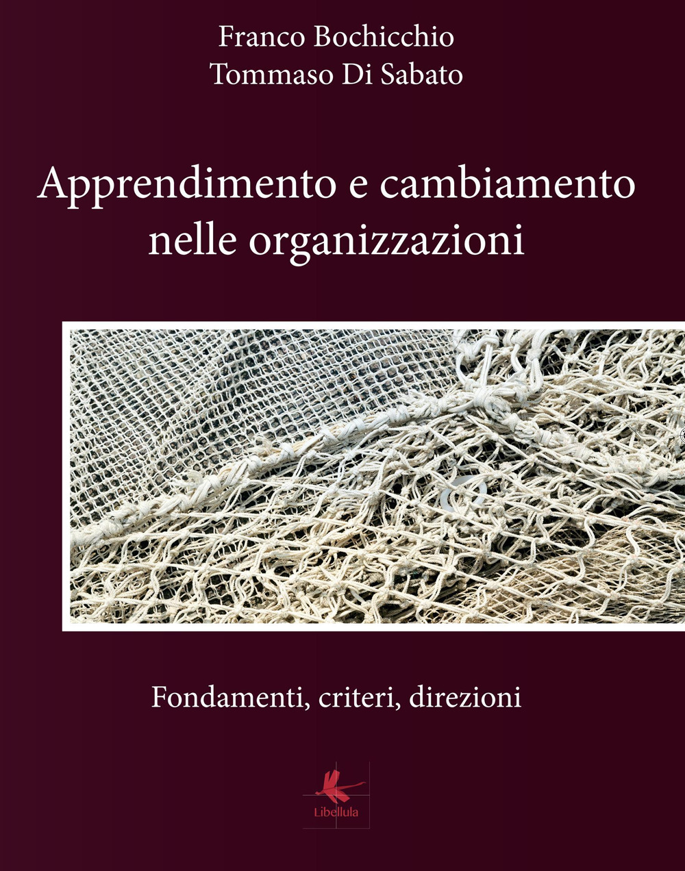 Apprendimento e cambiamento nelle organizzazioni. Fondamenti, criteri, direzioni