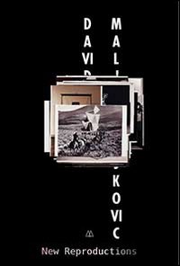 David Maljkovic. New reproductions