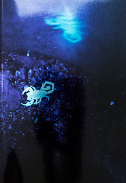 Susanne M. Winterling