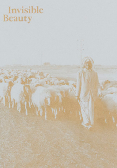 Invisible Beauty. The Pavilion of Iraq at the 56th Venice Biennale