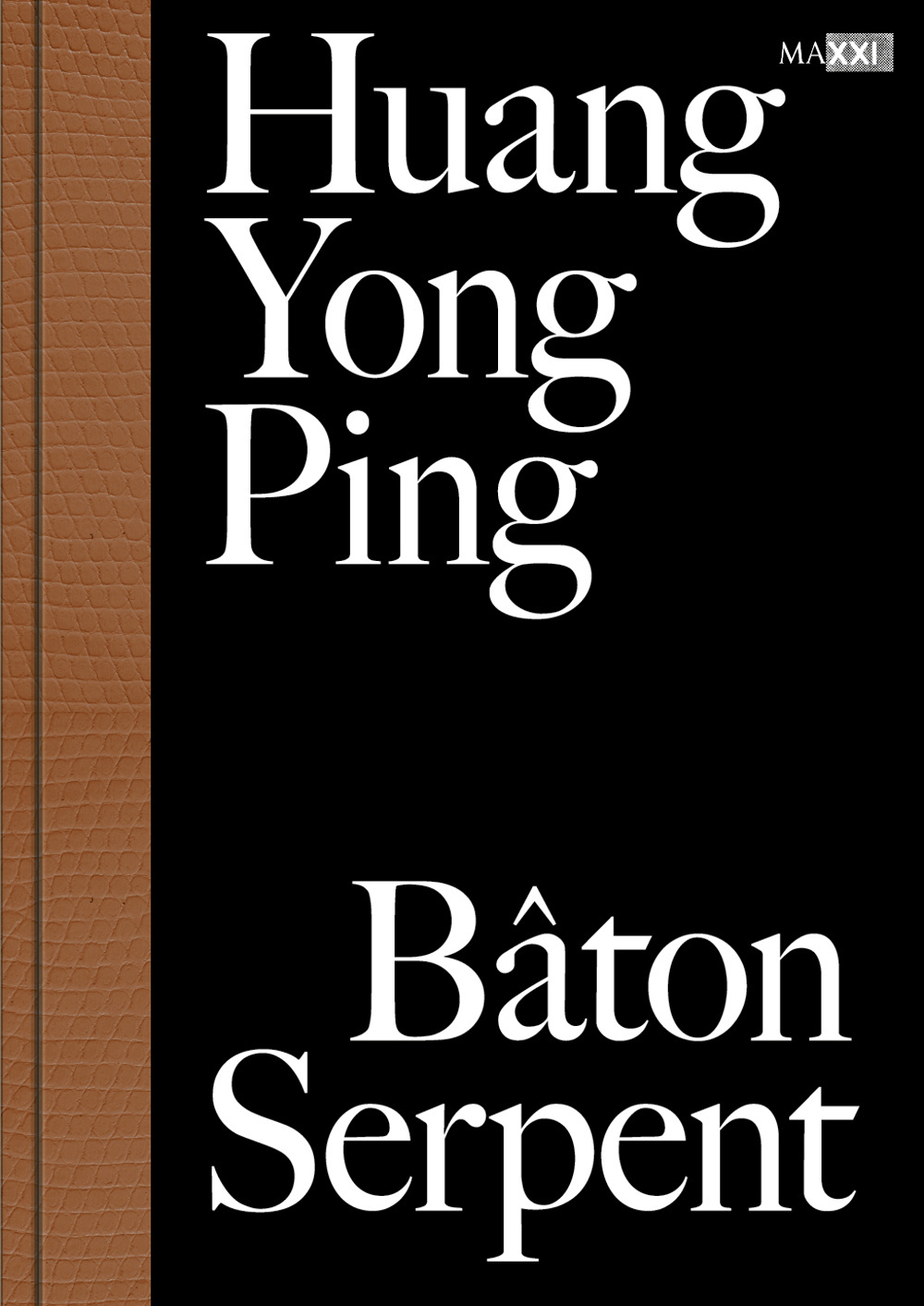 Huang Yong Ping. Bâton serpent