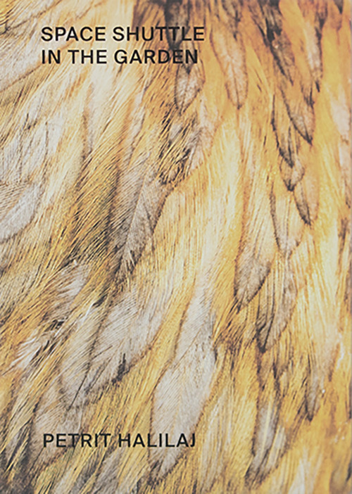 Petrit Halilaj. Space shuttle in the garden. Ediz. italiana e inglese