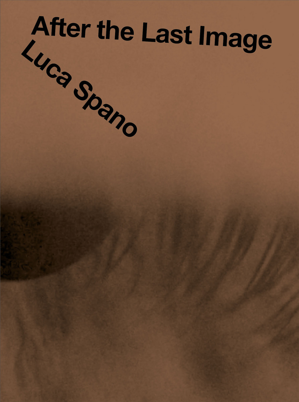Luca Spano. After the Last Image