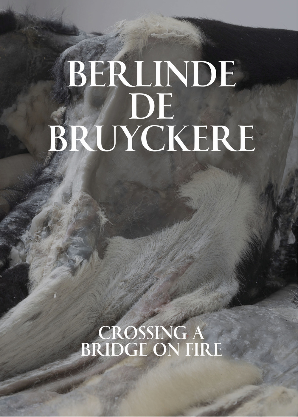 Berlinde De Bruyckere. Crossing a bridge on fire