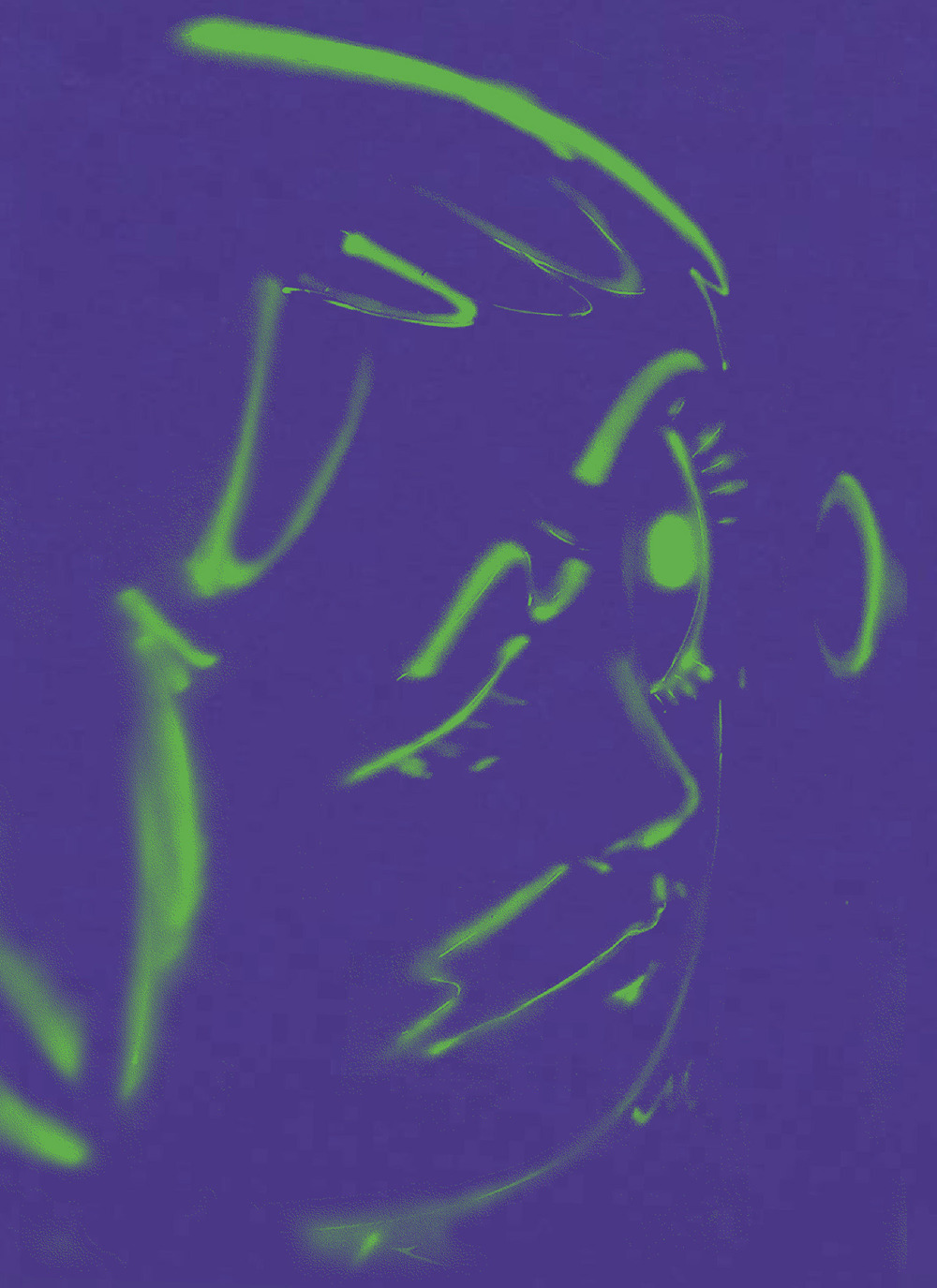 Hoda Kashiha: slipping on fragmented shapes. Ediz. inglese e francese