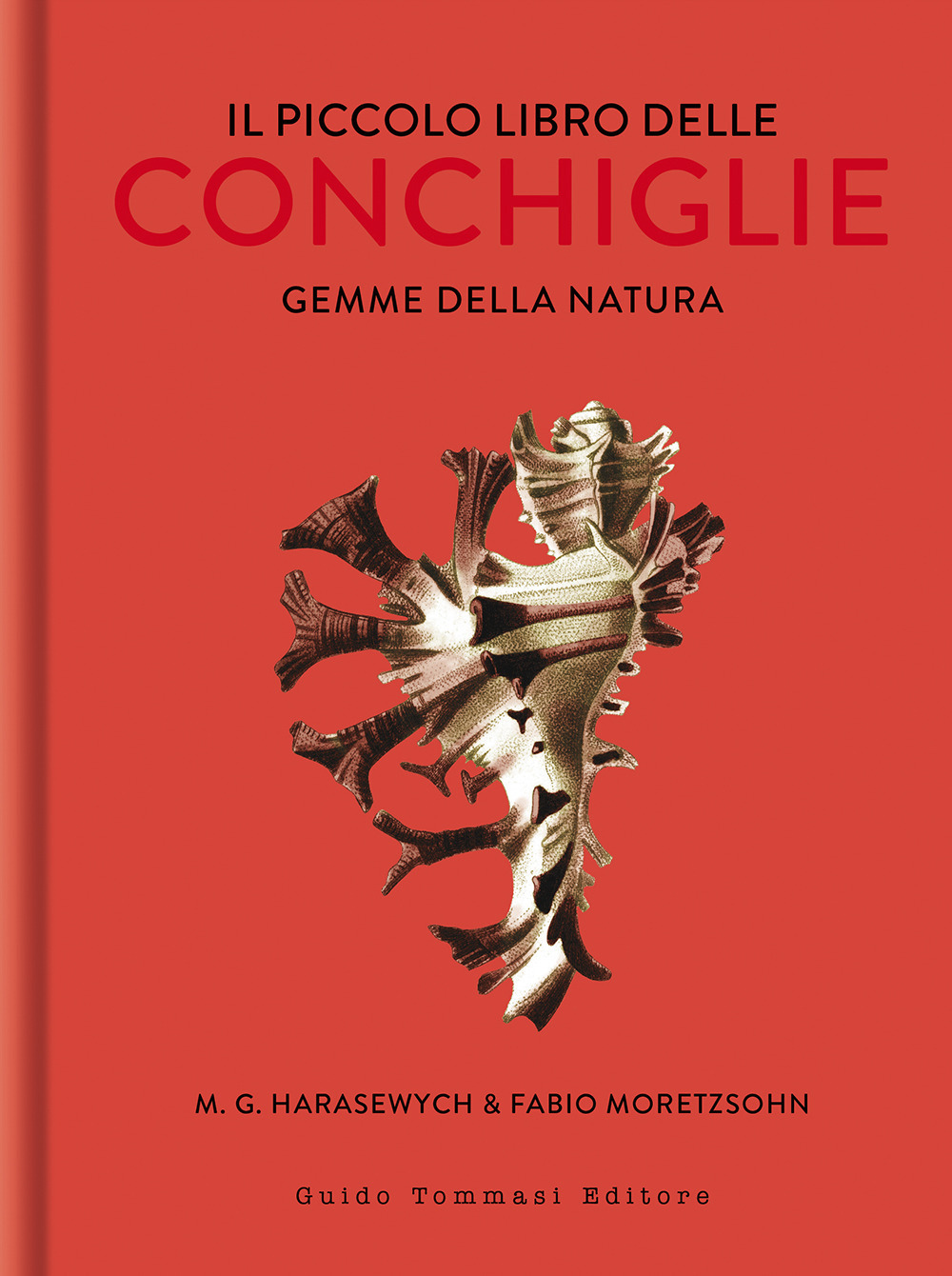 Il piccolo libro delle conchiglie. Gemme della natura