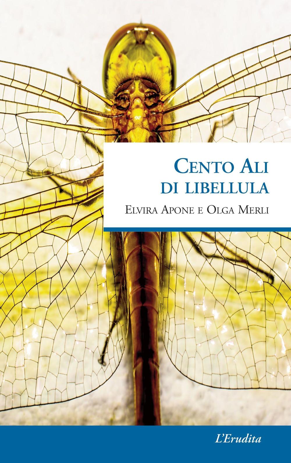 Cento ali di libellula
