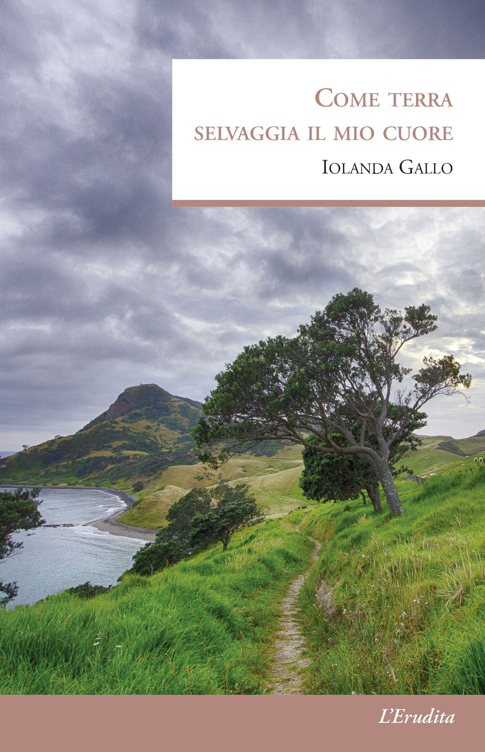 Come terra selvaggia il mio cuore