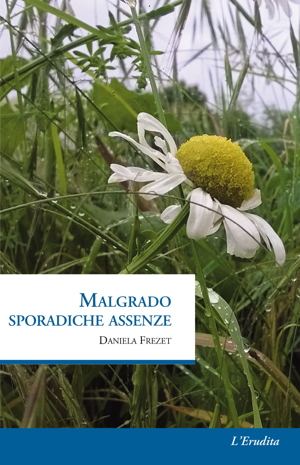 Malgrado sporadiche assenze