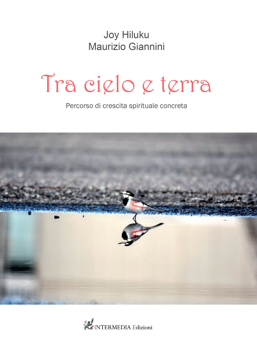 Tra cielo e terra. Percorso di crescita spirituale concreta