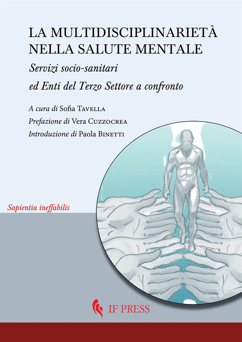 La multidisciplinarietà nella salute mentale. Servizi socio-sanitari ed enti del terzo settore a confronto