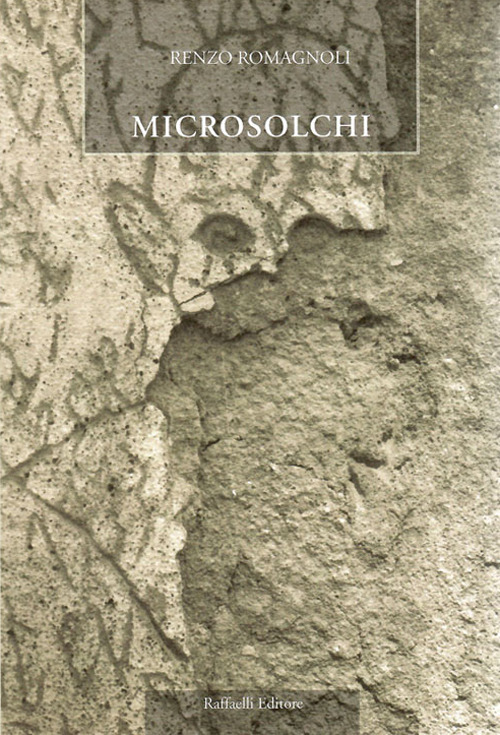 Microsolchi