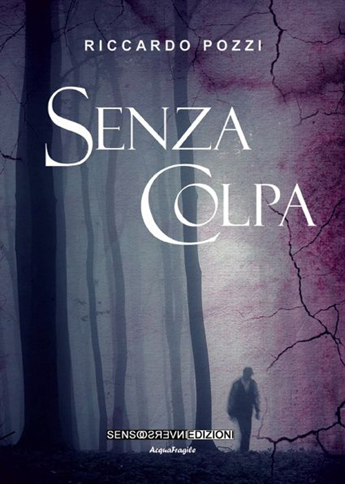 Senza colpa. Racconti brevi 2006-2014