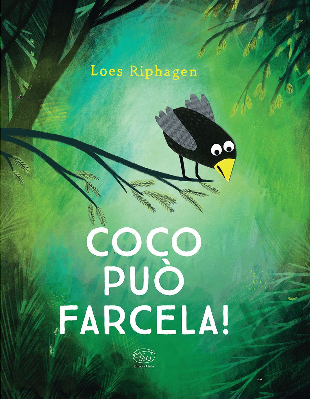 Coco può farcela!