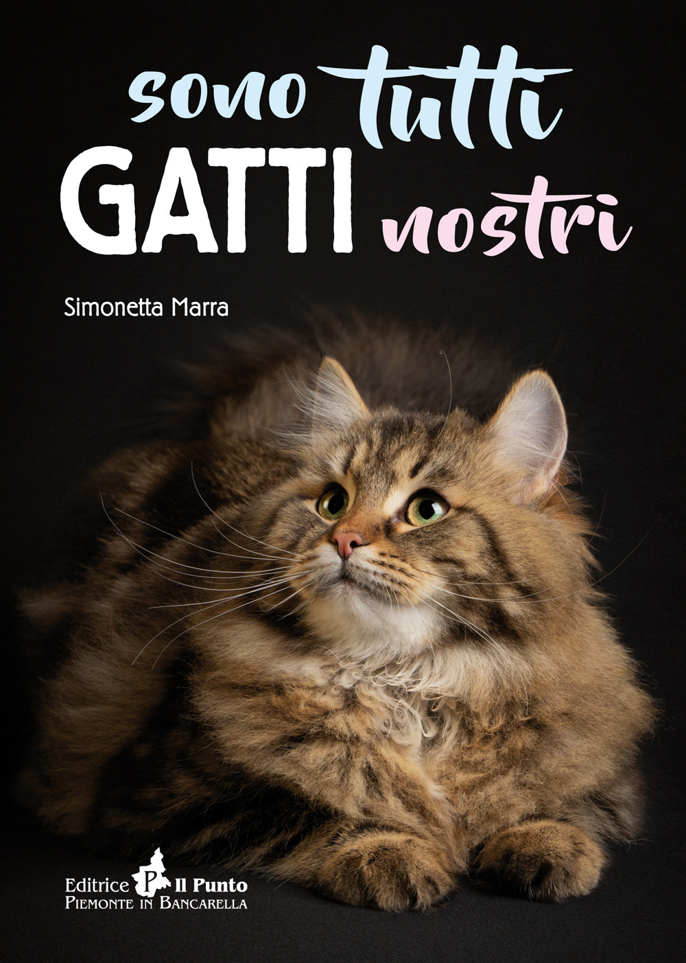 Sono tutti gatti nostri