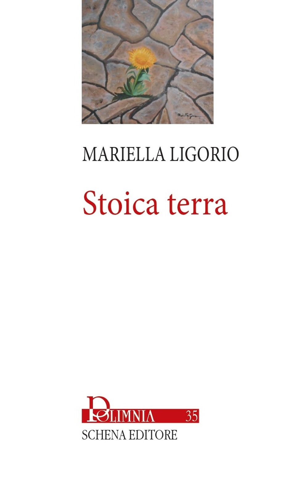 Stoica terra