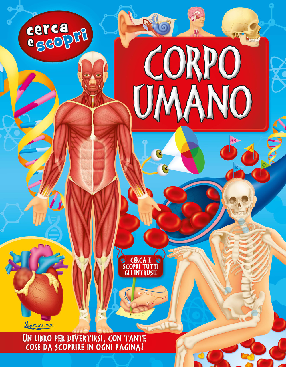 Corpo umano