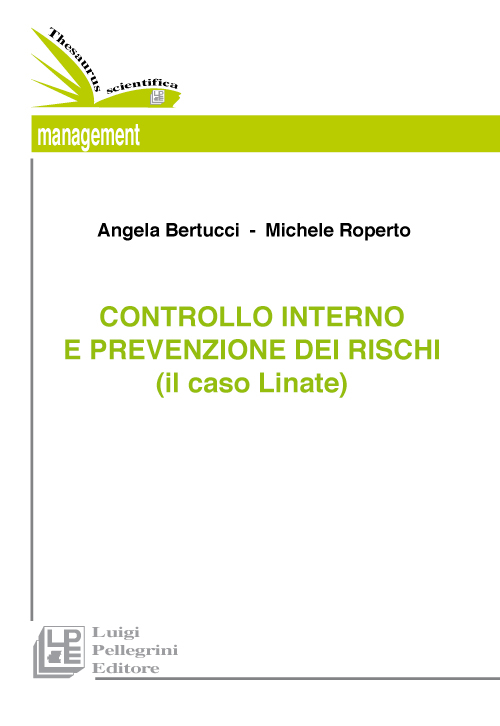 Il controllo interno e la prevenzione dei rischi (il caso Linate)