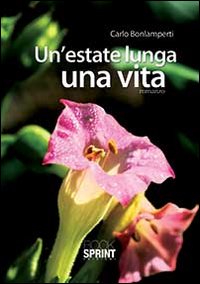 Un'estate lunga una vita