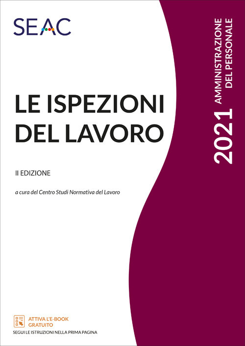 Le ispezioni del lavoro