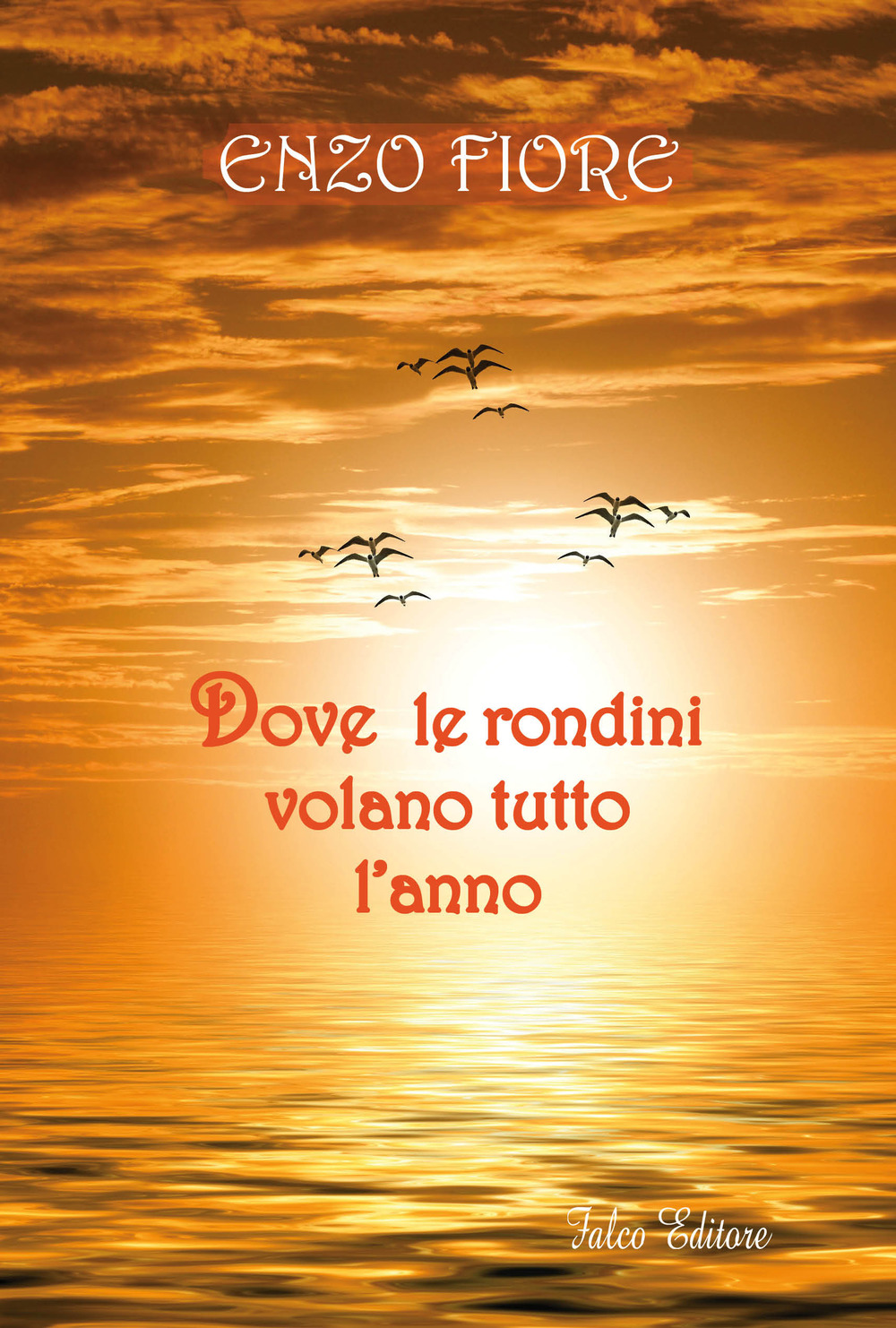 Dove le rondini volano tutto l'anno