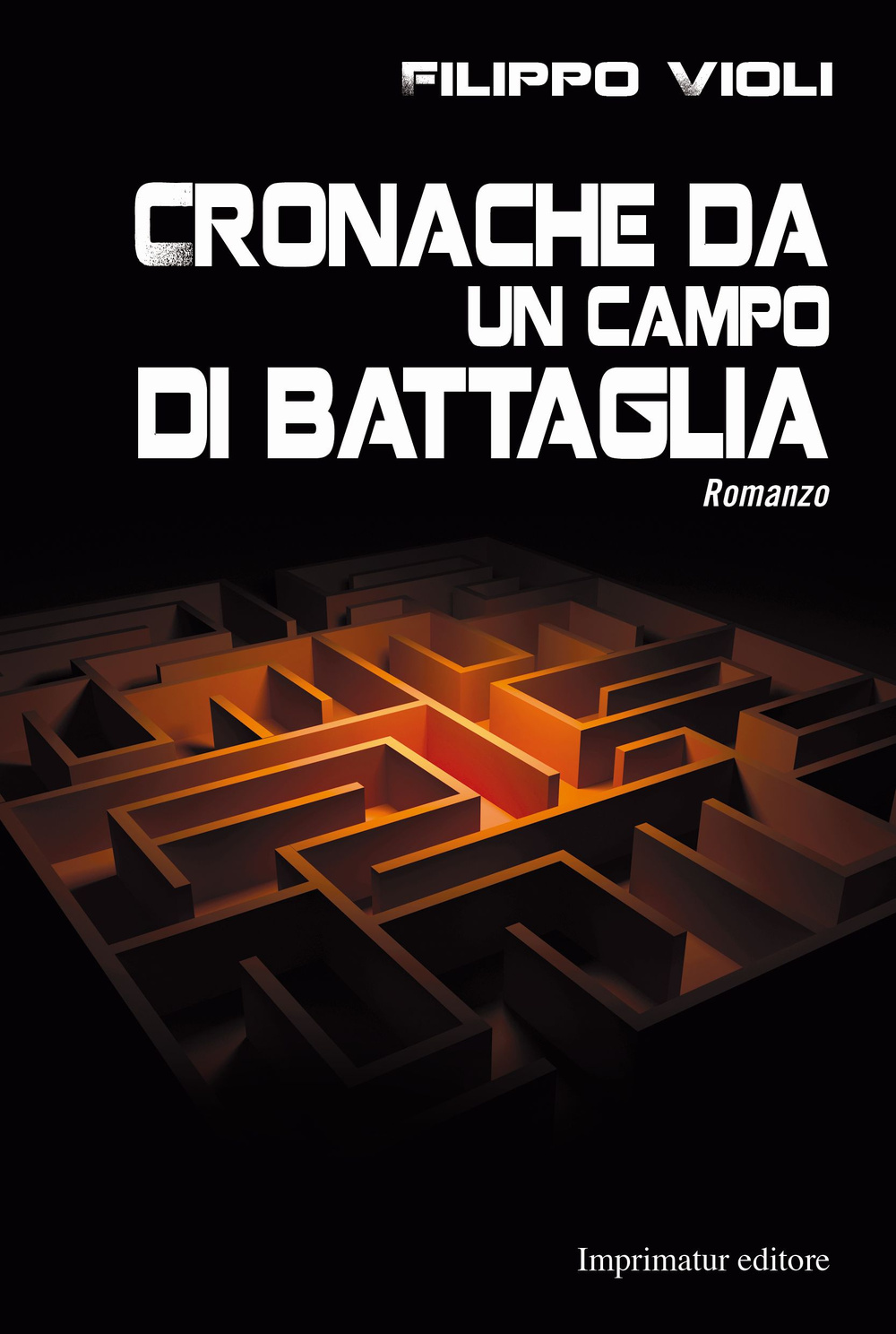 Cronache da un campo di battaglia