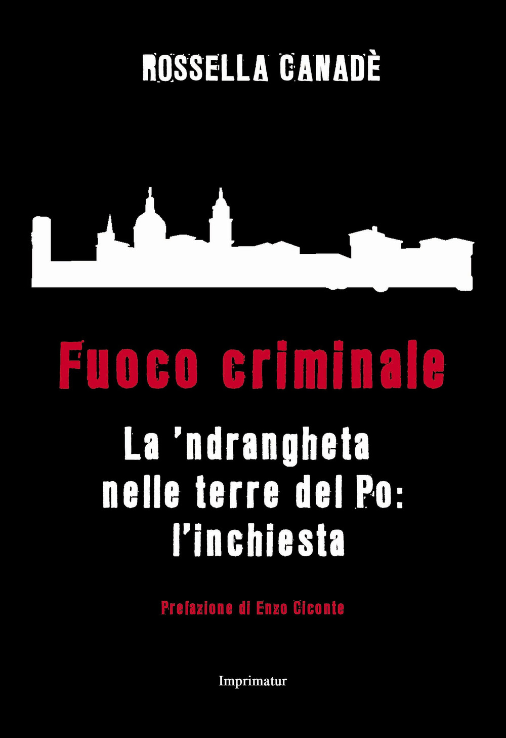 Fuoco criminale. La ’ndrangheta nelle terre del Po: l’inchiesta