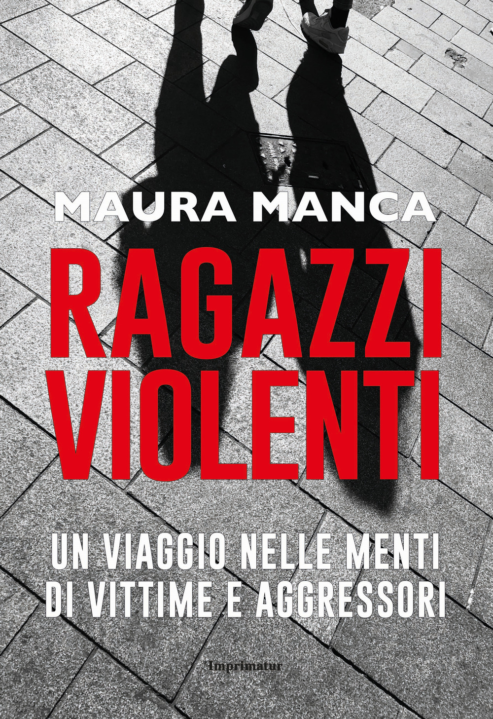 Ragazzi violenti. Un viaggio nelle menti di vittime e aggressori