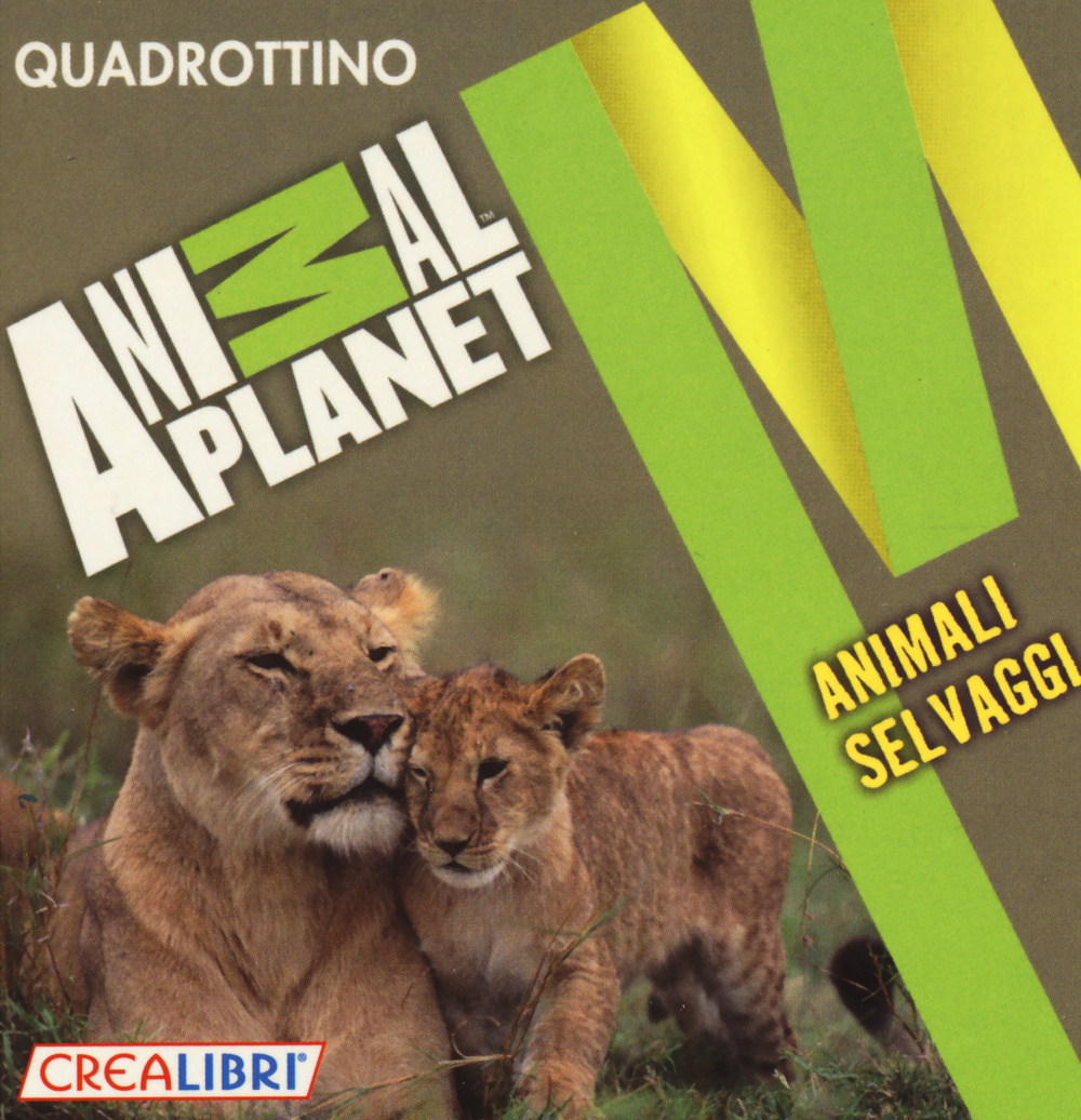 Animali selvaggi. Quadrottino